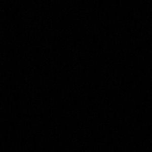 Meet your Posher, Kalie